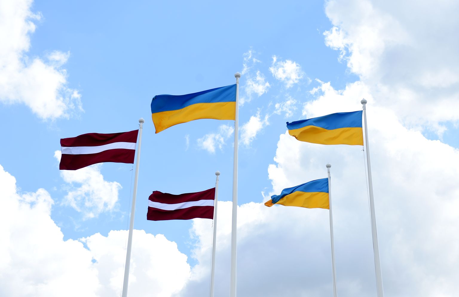 Latvijas un Ukrainas karogi Likteņdārzā.