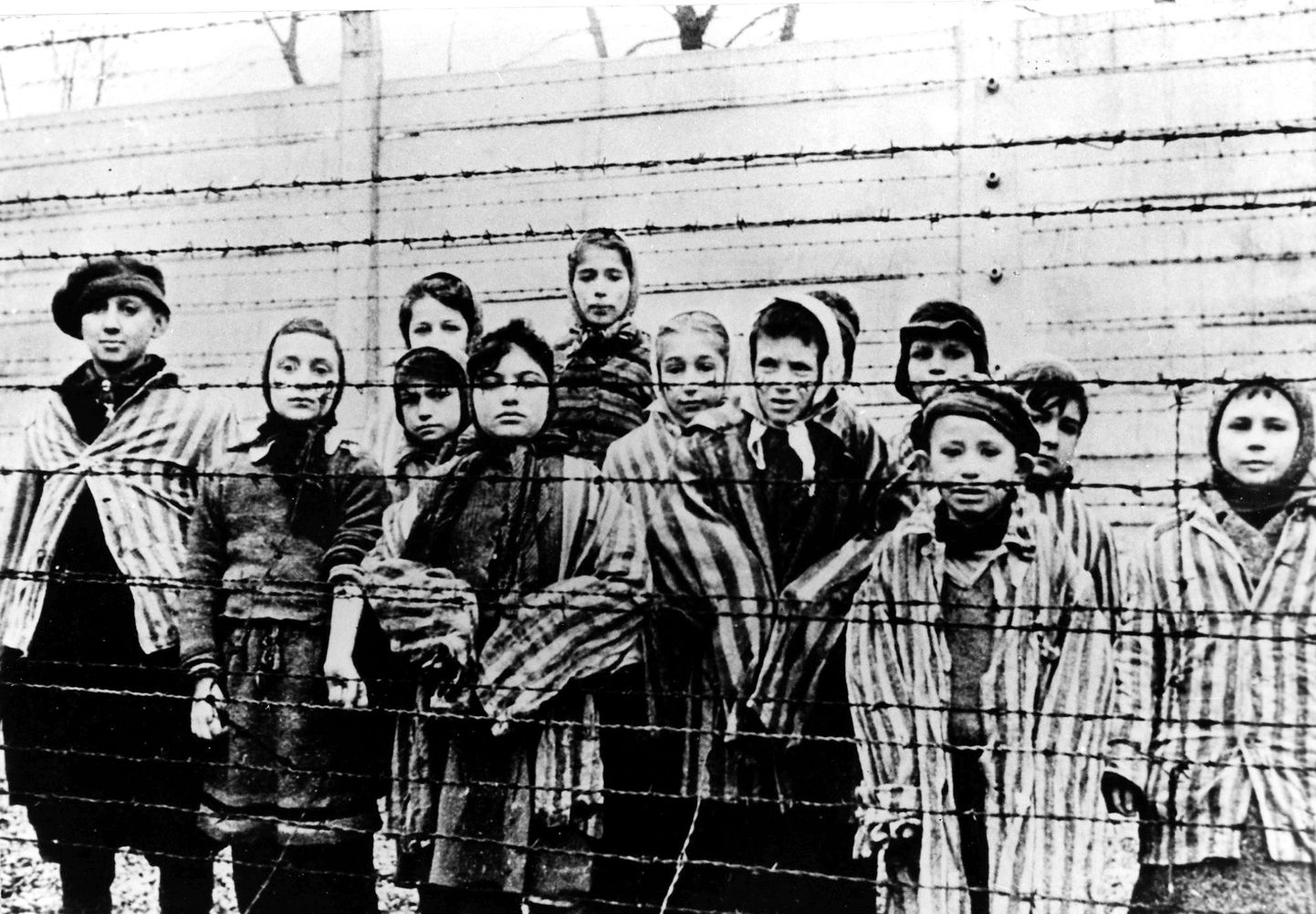 Lapsed Auschwitzi koonduslaagris.