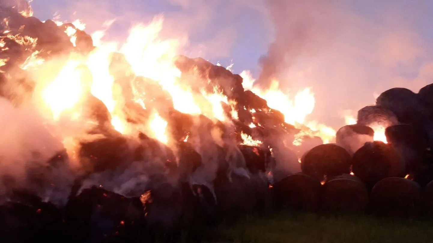 Üle-eelmisel nädalal hävis Hälvati külas põlengus umbes 1500 heinapalli.