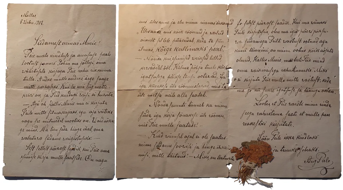 August Talu kiri ühes tillukese kimbu kuivanud lilledega tema armastatu Mariele