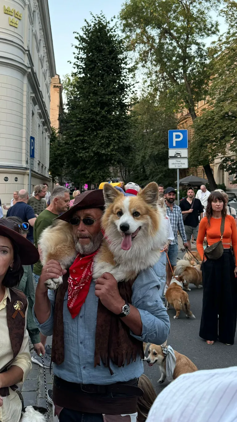 Raksta foto