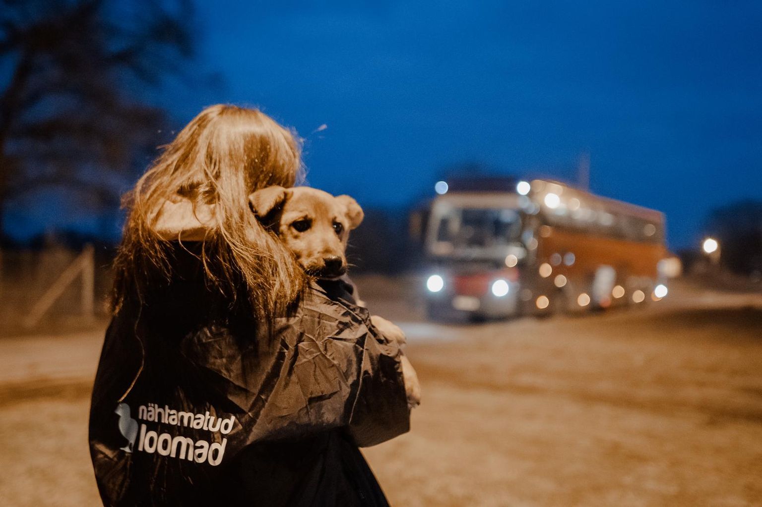 Loomakaitseorganisatsioon Nähtamatud Loomad sõitis Ukraina piiri äärde loomadele appi.