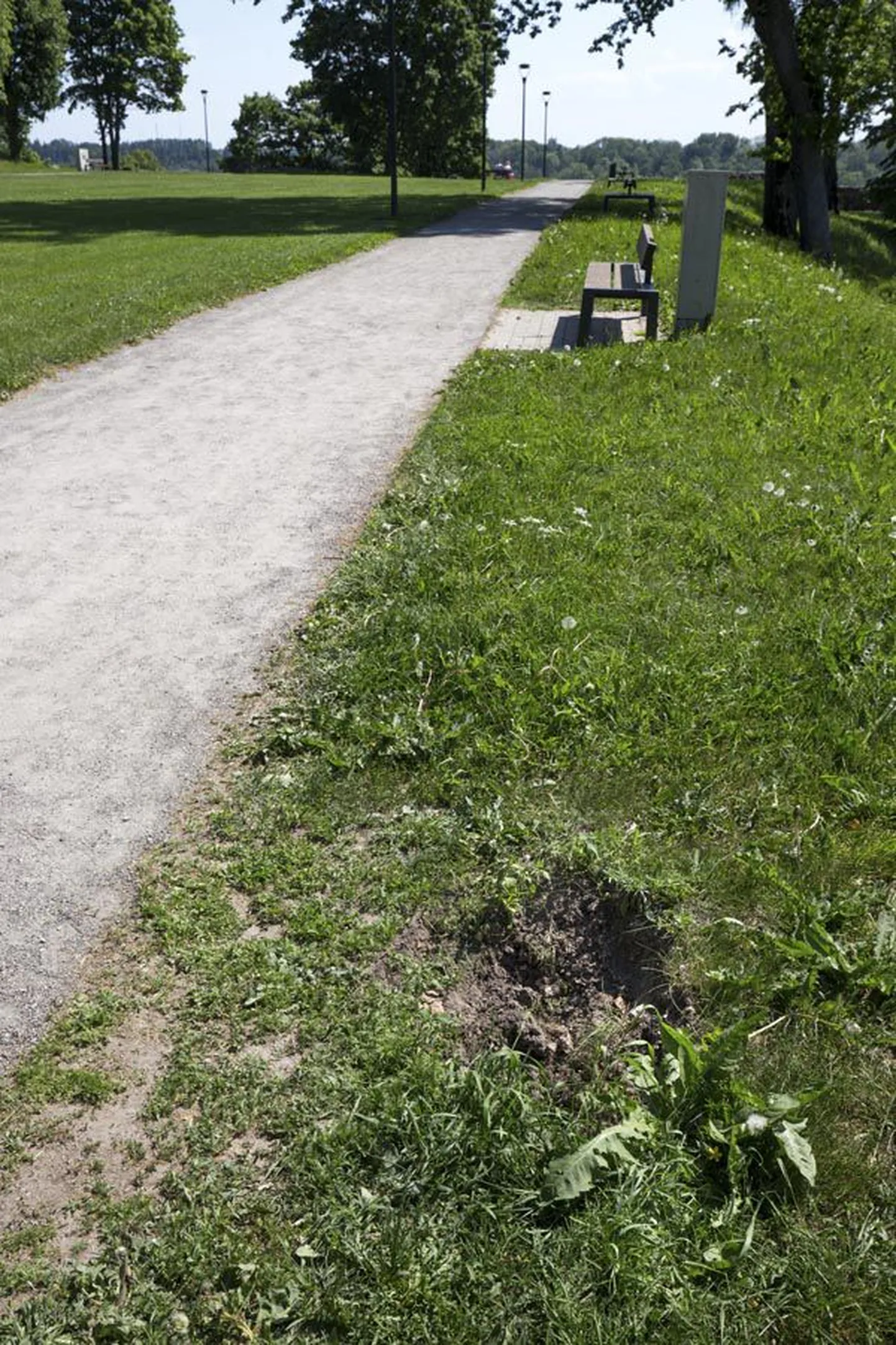 Teiselt Kirsimäelt Kaevumäele viiva tee ääres on auk. Selles kohas oli veel mõni päev tagasi prügikast, kuid siis kangutasid jõumehed selle koos betoonplokiga maast välja. Taamal asuv pink oli lõhutud, aga selle said töömehed kiirelt taastada.