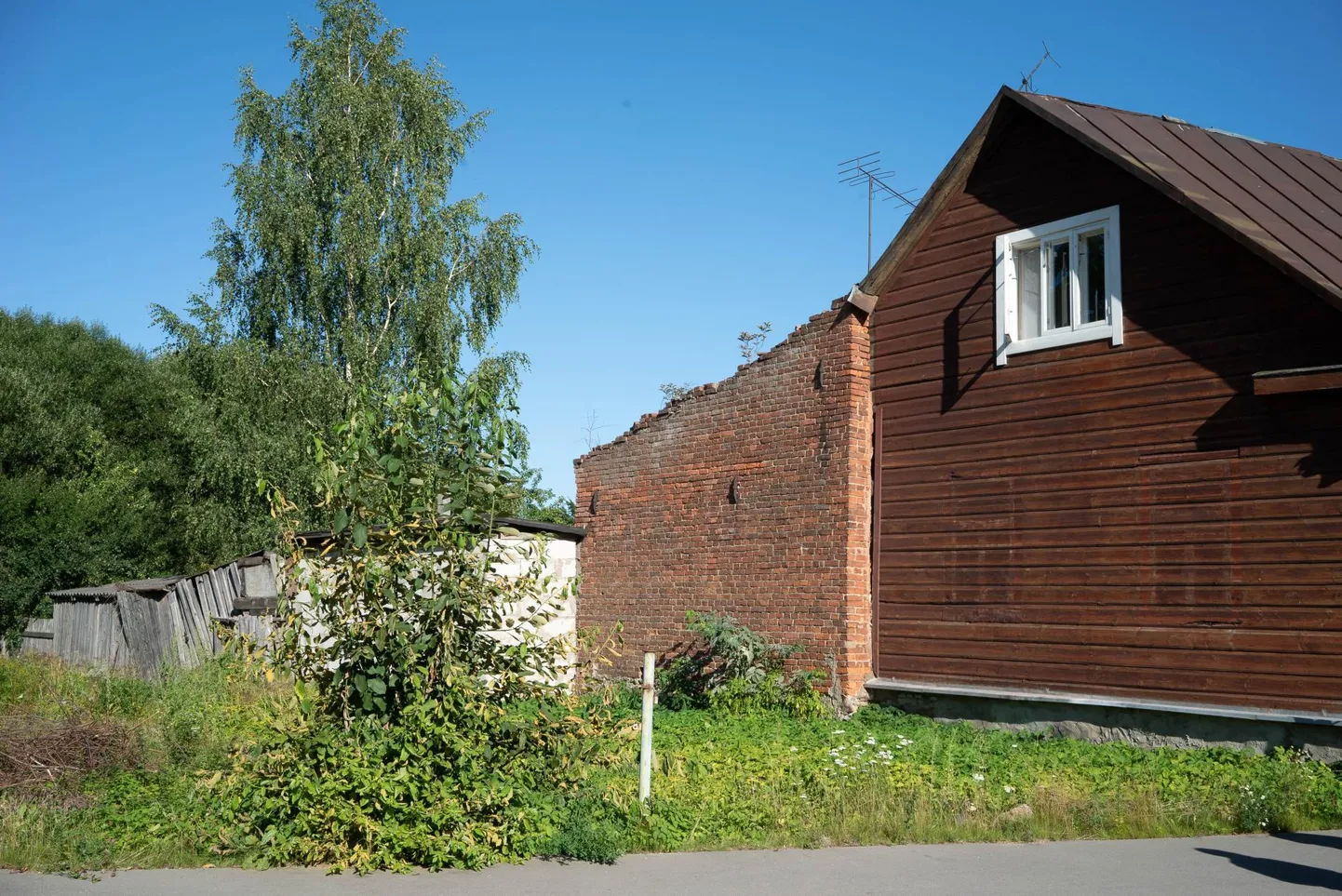 Selles kohas, otse Aino Koseri akna all kasvas tänavu märtsini kasepuu. Naaberkrundi arendaja võttis selle maha ilma, et oleks vaevunud nõuetekohaselt raieluba vormistama.