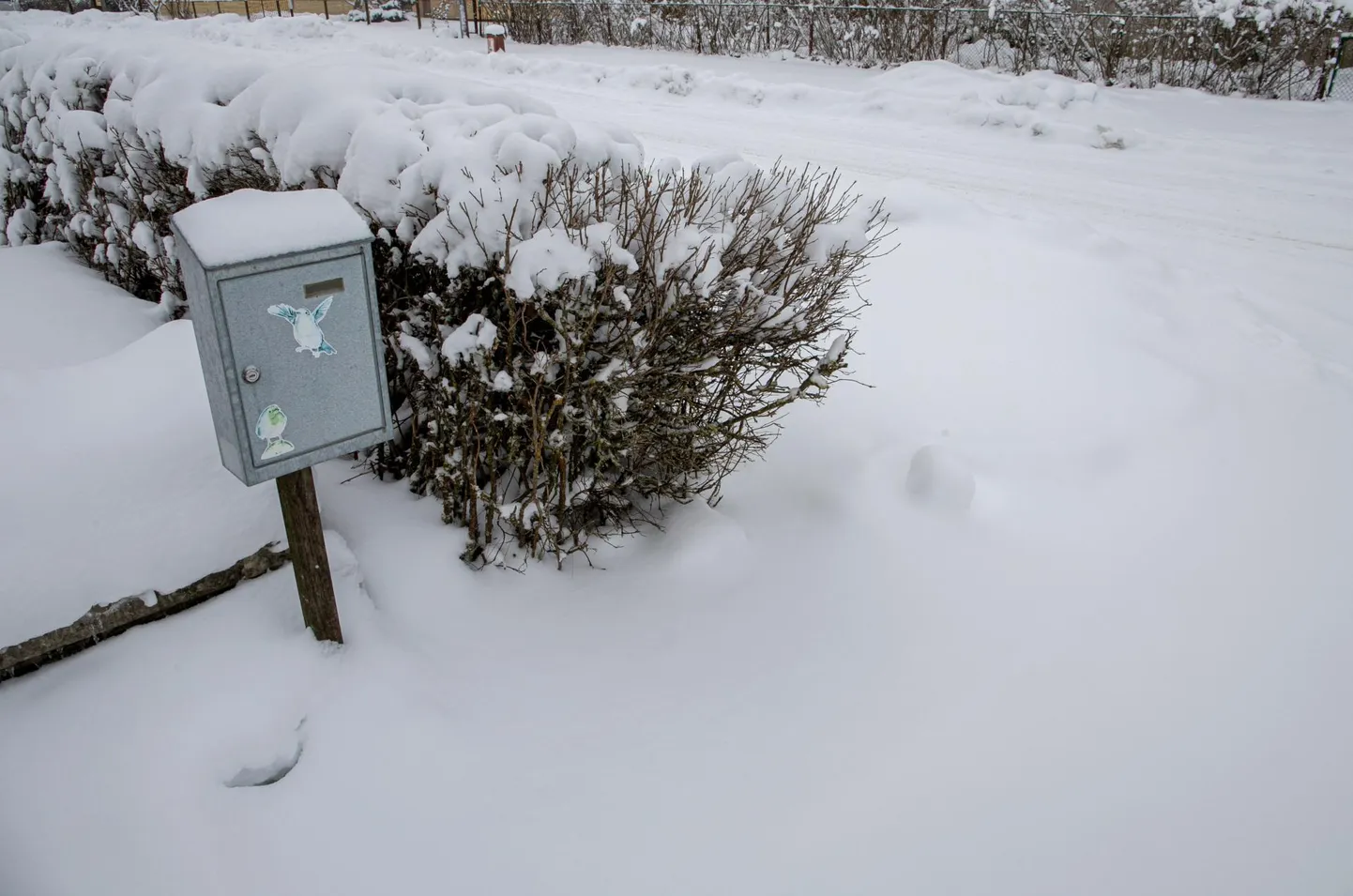 Omniva призывает владельцев очищать почтовые ящики и прилегающую территорию от снега и льда.