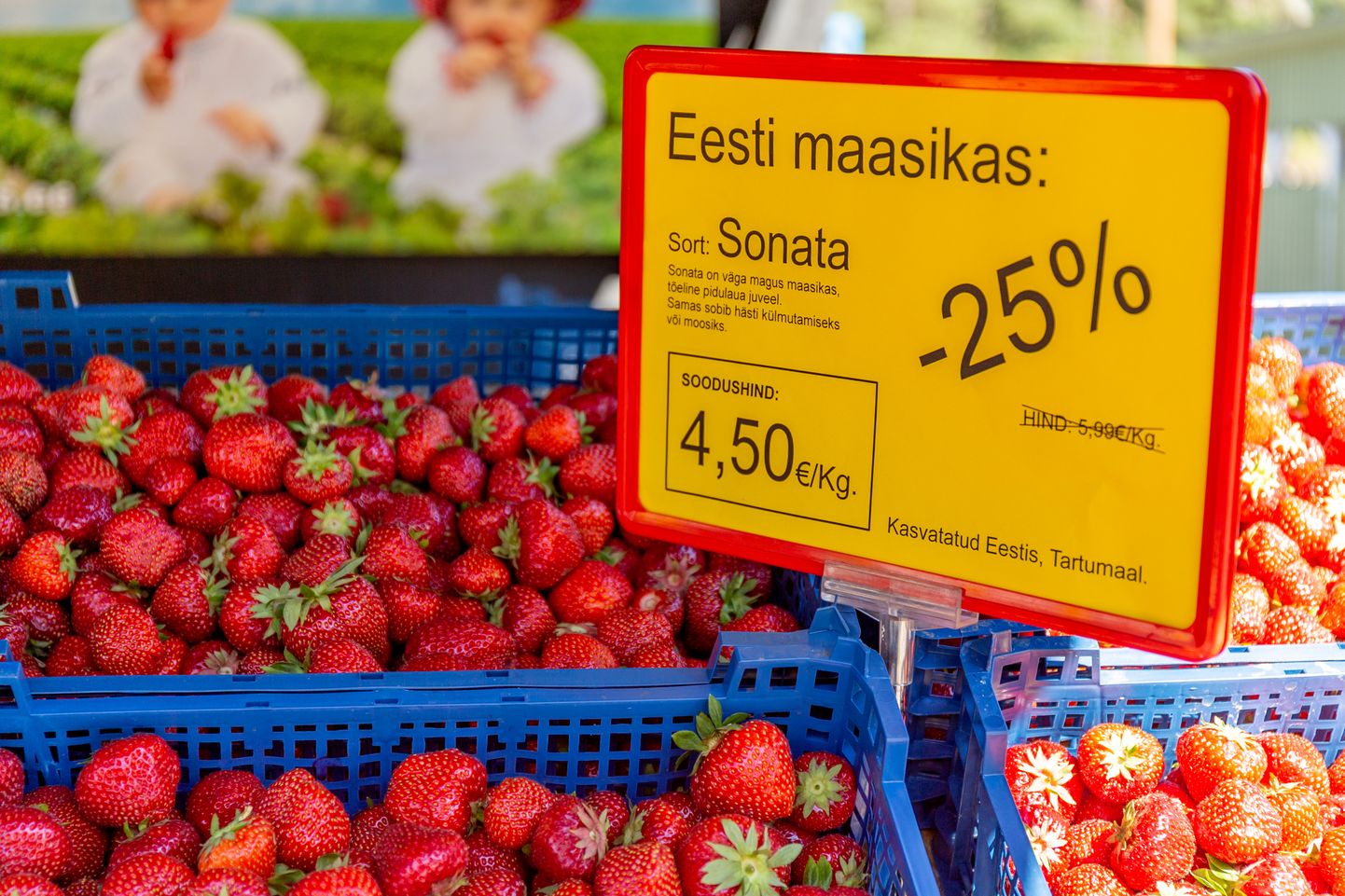 Tallinn 28.06.2019. 
Nõmme Turg. Maasikad.
Strawberries at the market.
FOTO: TIINA OJA / POSTIMEES