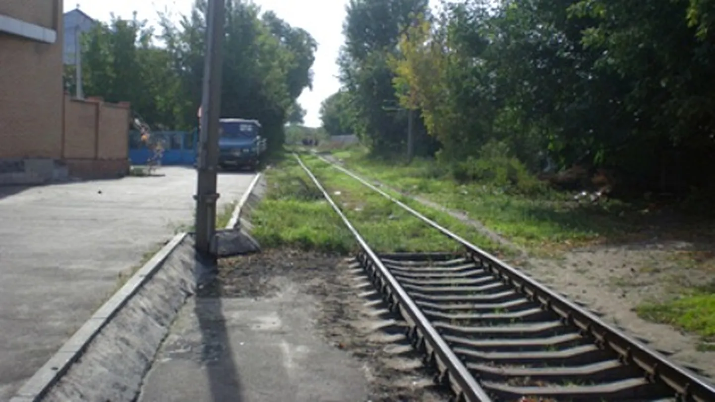 Фото статьи