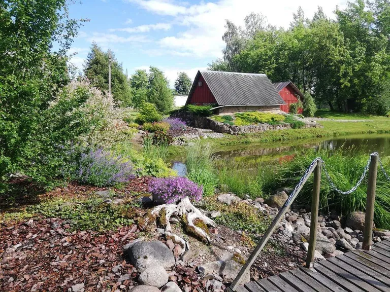 Andu-Priit ja Eevi Kõiveeri maakodus Lasval näeb omapäraseid peenraid.