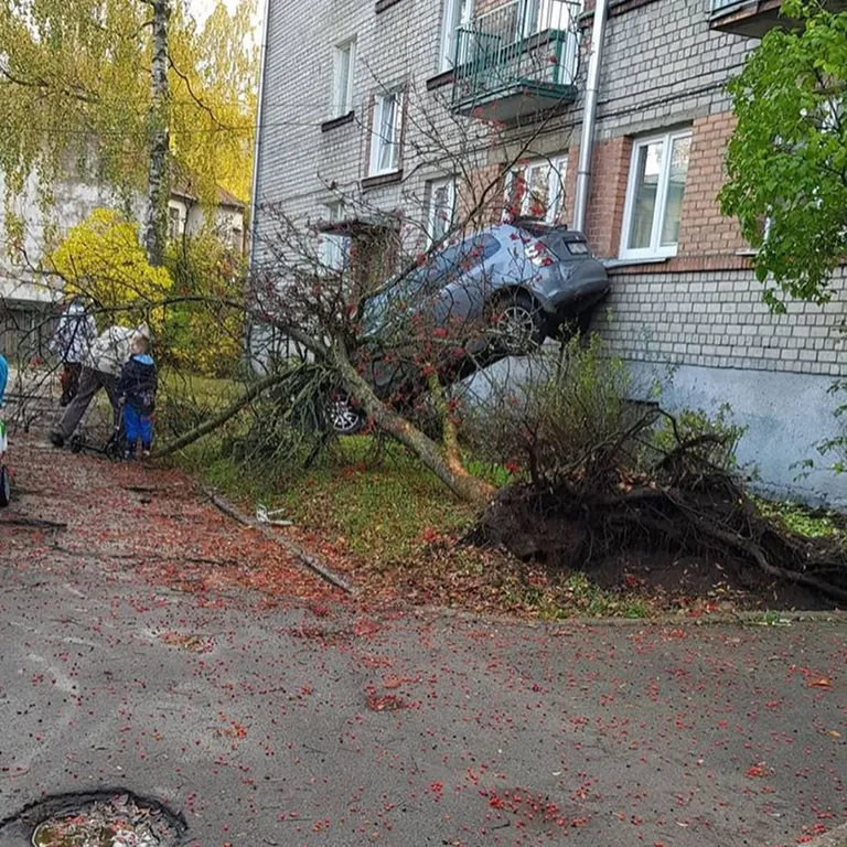 Фото статьи