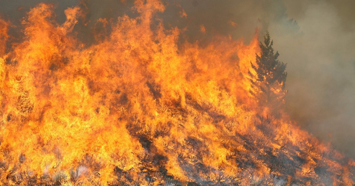 Türi vallas põles mets