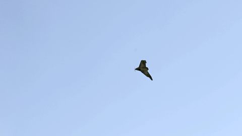 Lietuvā no Baltkrievijas puses ielidojis drons