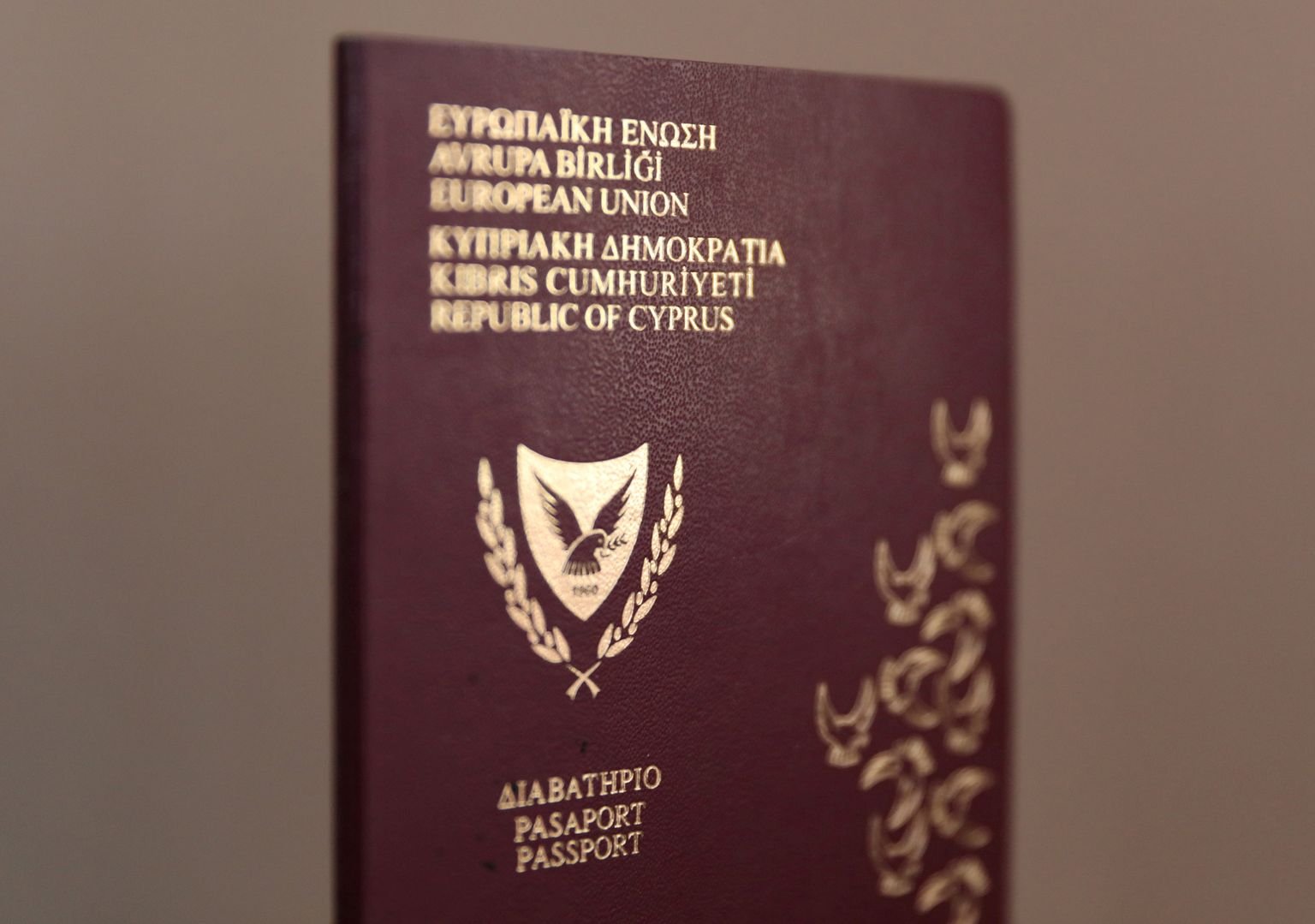 Кипрский паспорт. Иллюстративное фото