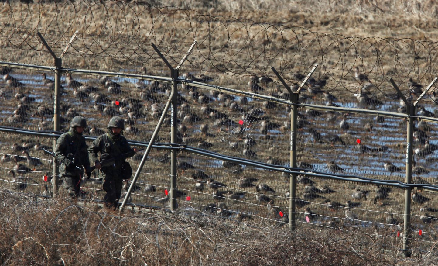 Lõuna-Korea sõdurid piiril patrullimas.