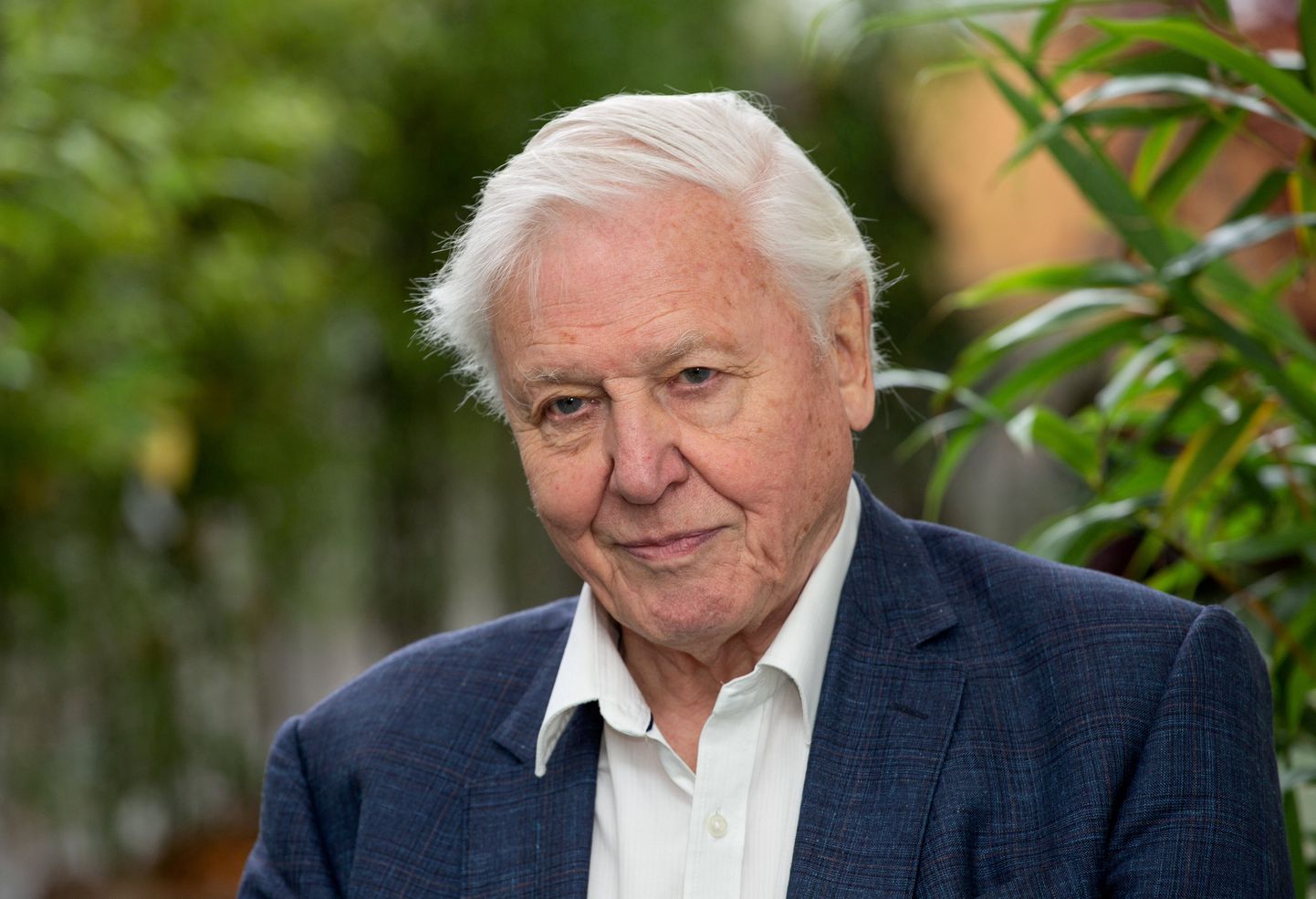 David Attenborough on väsimatult aastakümneid töötanud, et süvendada inimeste armastust looduse vastu.