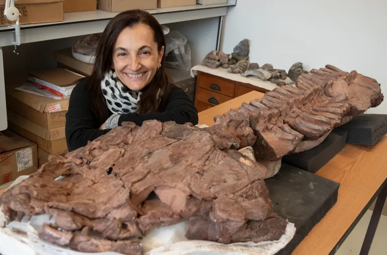 Professor Claudia Marsicano Namiibiast väljakaevatud Gaiasia jennyae fosiiliga.