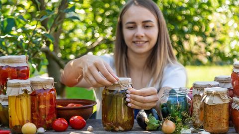 TOIDUAMET JAGAB ⟩ Kuidas hoidistada aiasaadusi ohutult?