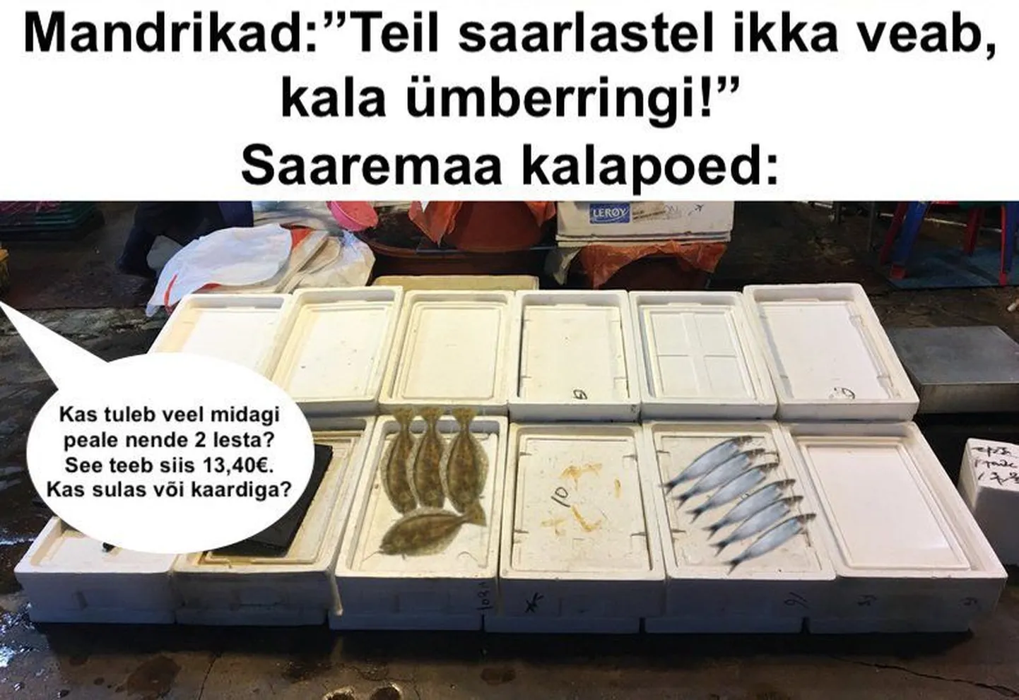 Artikli foto