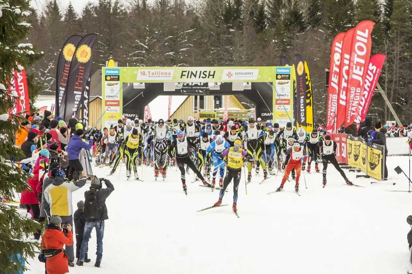 Tallinna maratoni start.