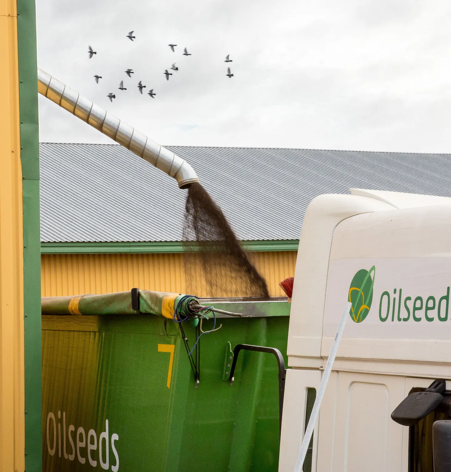 AS Oilseeds Trade.