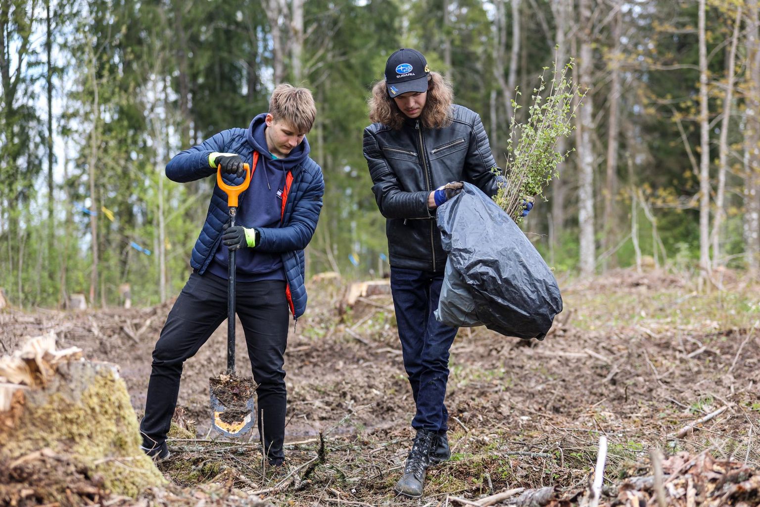 Antsla gümnaasiumi 11. klassi õpilased Robert Kuus (vasakul) ja Kaur Reinhold olid rahul, et koolitunni asemel sai mõned tunnid metsa istutada.