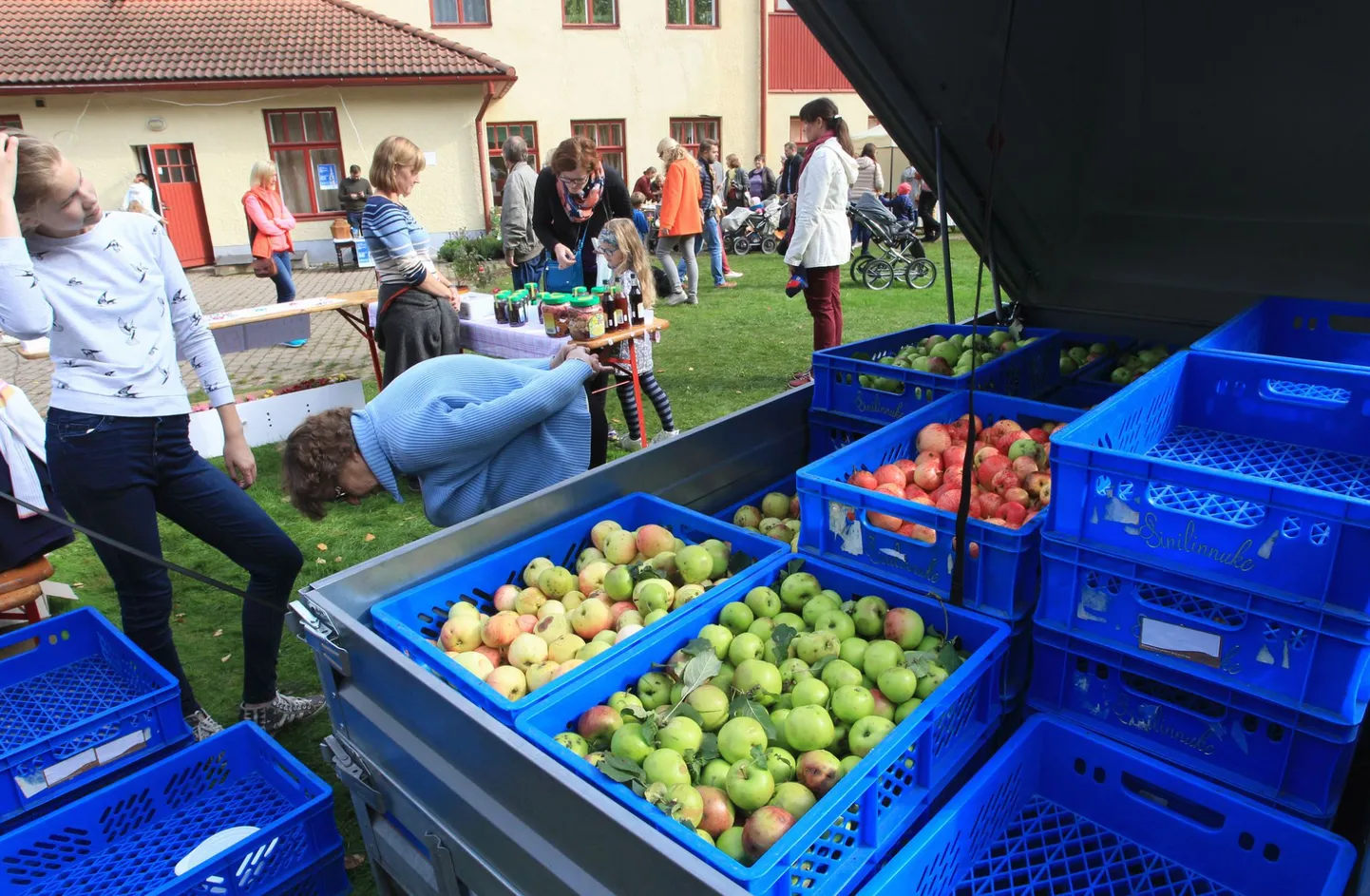 Nagu mullustel Tähtvere õunaaiapäevadel on ka tänavu oodata kõige vilkamat tegevust Veski tänaval ingeri maja platsil.