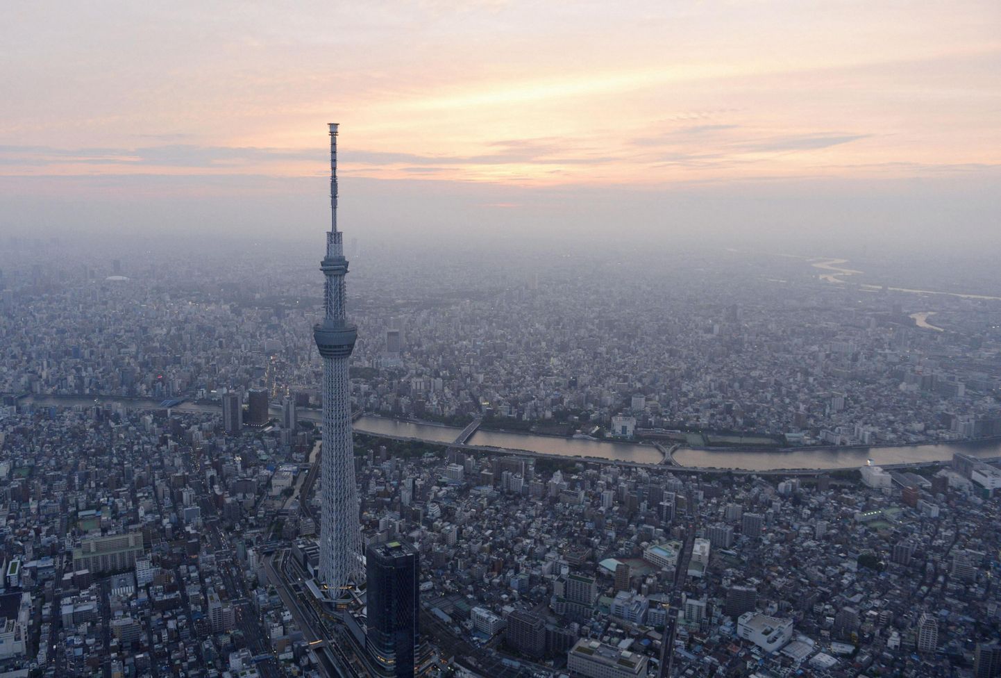 Skytree kõrgub üle kogu Tokyo metropolise, mis ulatub nii kaugele kui silm näeb.