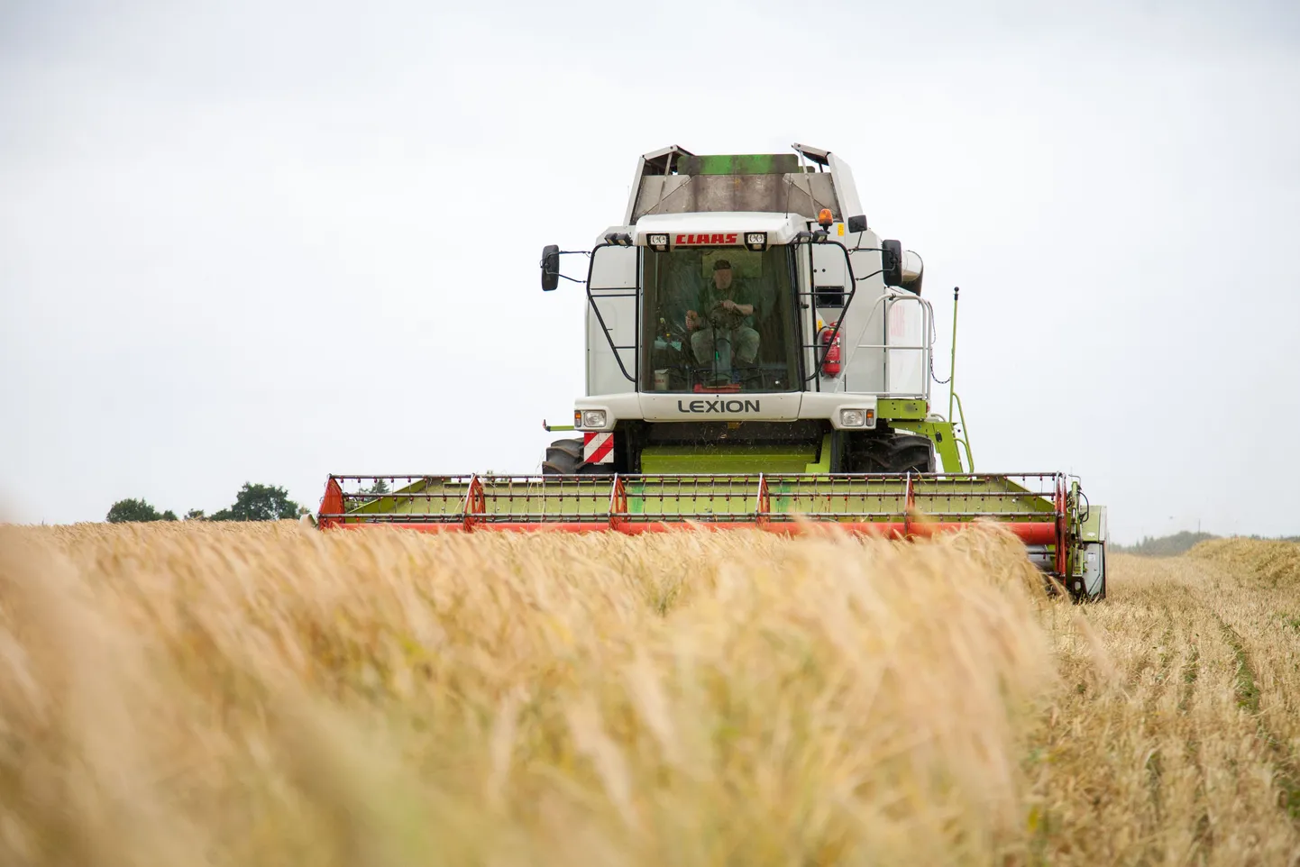 Väätsa Agro. Viljalõikus.