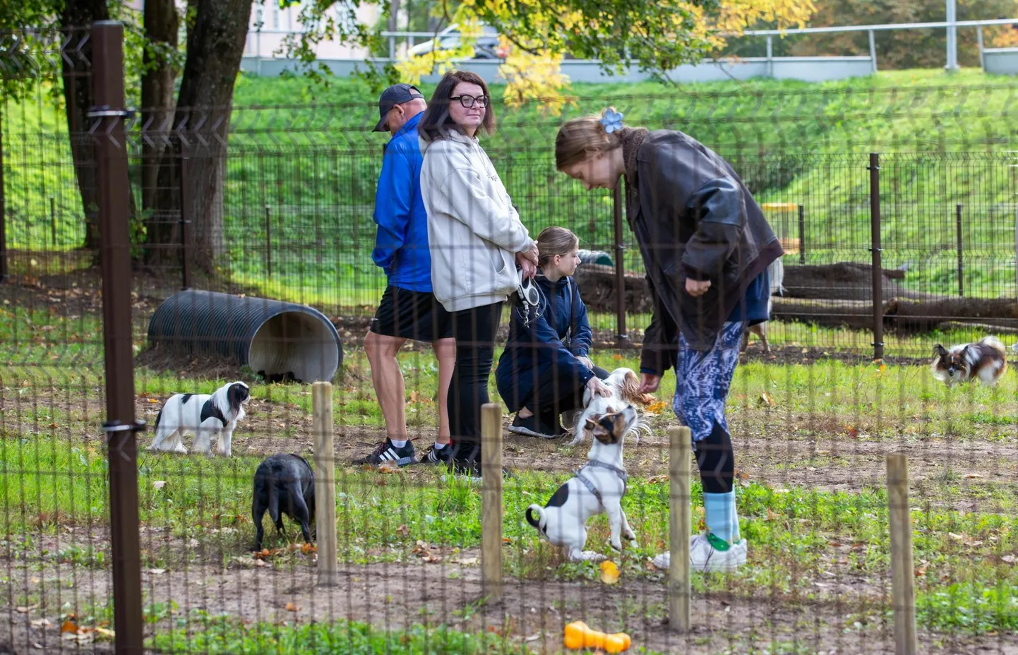 Möödunud aastal võitis linna kaasava eelarve hääletuse idee rajada koertepark.