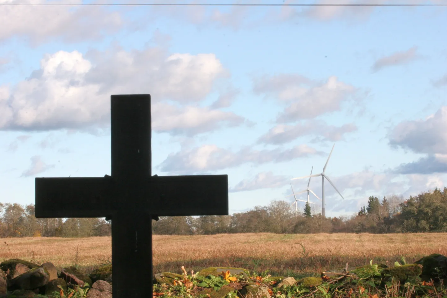 Kui 24-megavatise koondvõimsusega Viru-Nigula tuulepark täisvõimsusel tööle hakkab, saab sellest Eesti võimsaim tuuleenergia tootja.