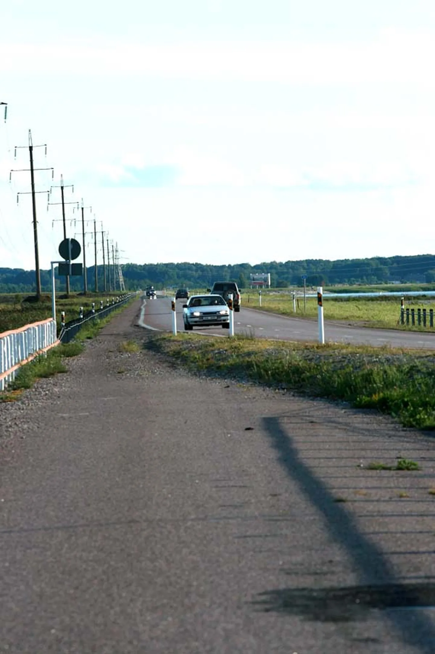 KÕNEAINET AASTASAJAKS: Tammiavadest hakati rääkima umbes sada aastat tagasi ja arvamusi on olnud seinast seina. Kui nüüd leitakse riiklikul tasemel, et mulgud tuleks ikkagi teha, siis 2009. aasta uuringus öeldi, et tammiavade ehitamine ei aita kuidagi kaasa keskkonnaseisundi paranemisele.