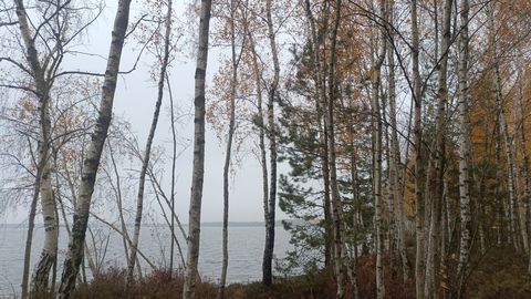 Ceturtdien pūtīs brāzmains vējš