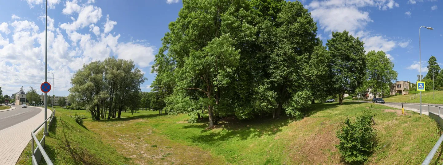 Aasta alguses plaaniti, et koertepark Valuoja oru Leola ja Vaksali tänava ristmiku poolsel äärel valmib jaanipäevaks, aga ehitus on edasi lükkunud ning eelduste kohaselt avatakse park augustis.