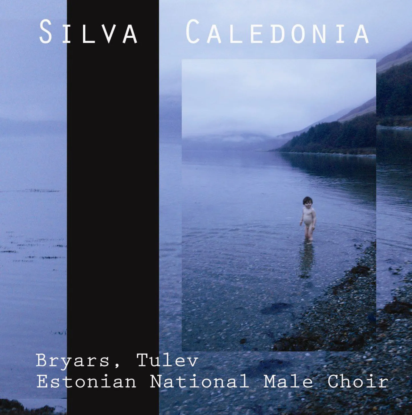 Pärnu linnaorkester lööb kaasa plaadil "Silva Caledonia".
