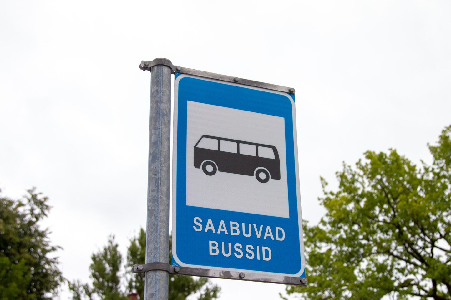 Esimesest juulist hakkas paljudes maakondades kehtima tasuta bussisõit aga ka uus bussigraafik.