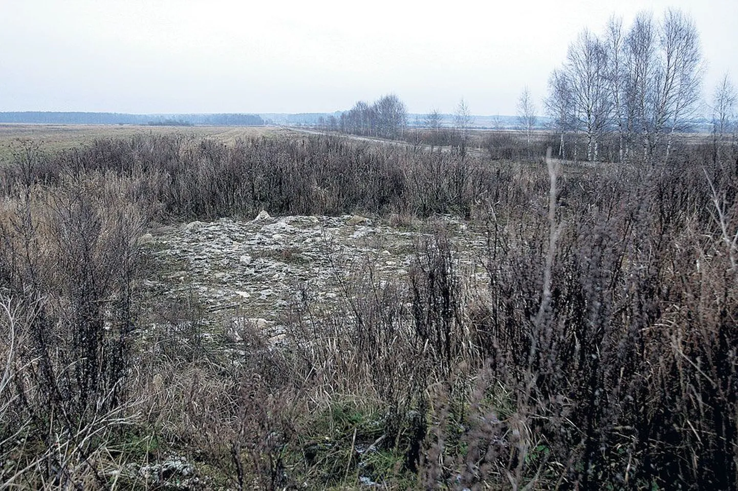 Aardla poldri servale kavandatud Küüni elurajooni kinnistu, mille omanikele soostus Ülenurme vald kohtu kinnitatud kokkuleppega maksma 68 807 krooni.
