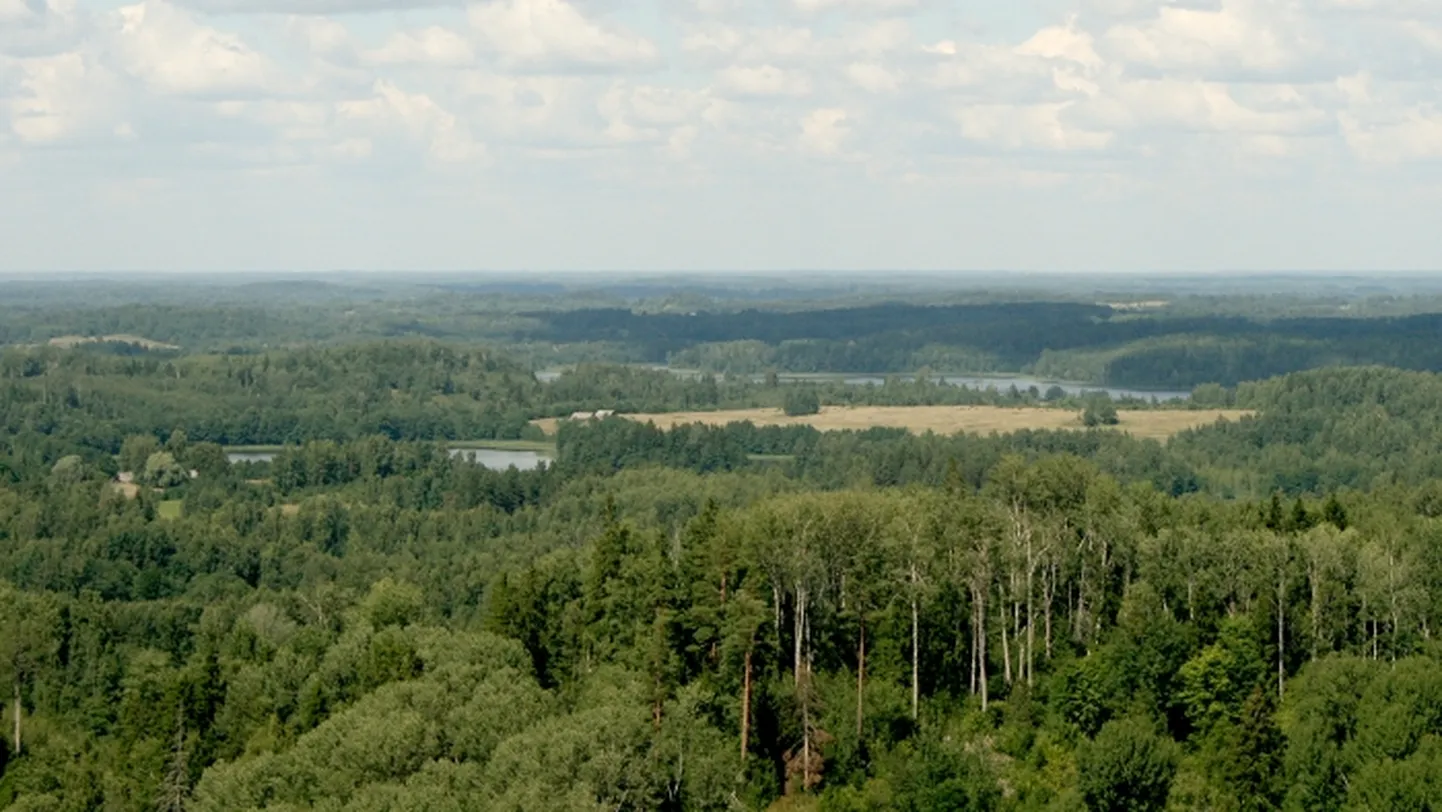 Raksta foto