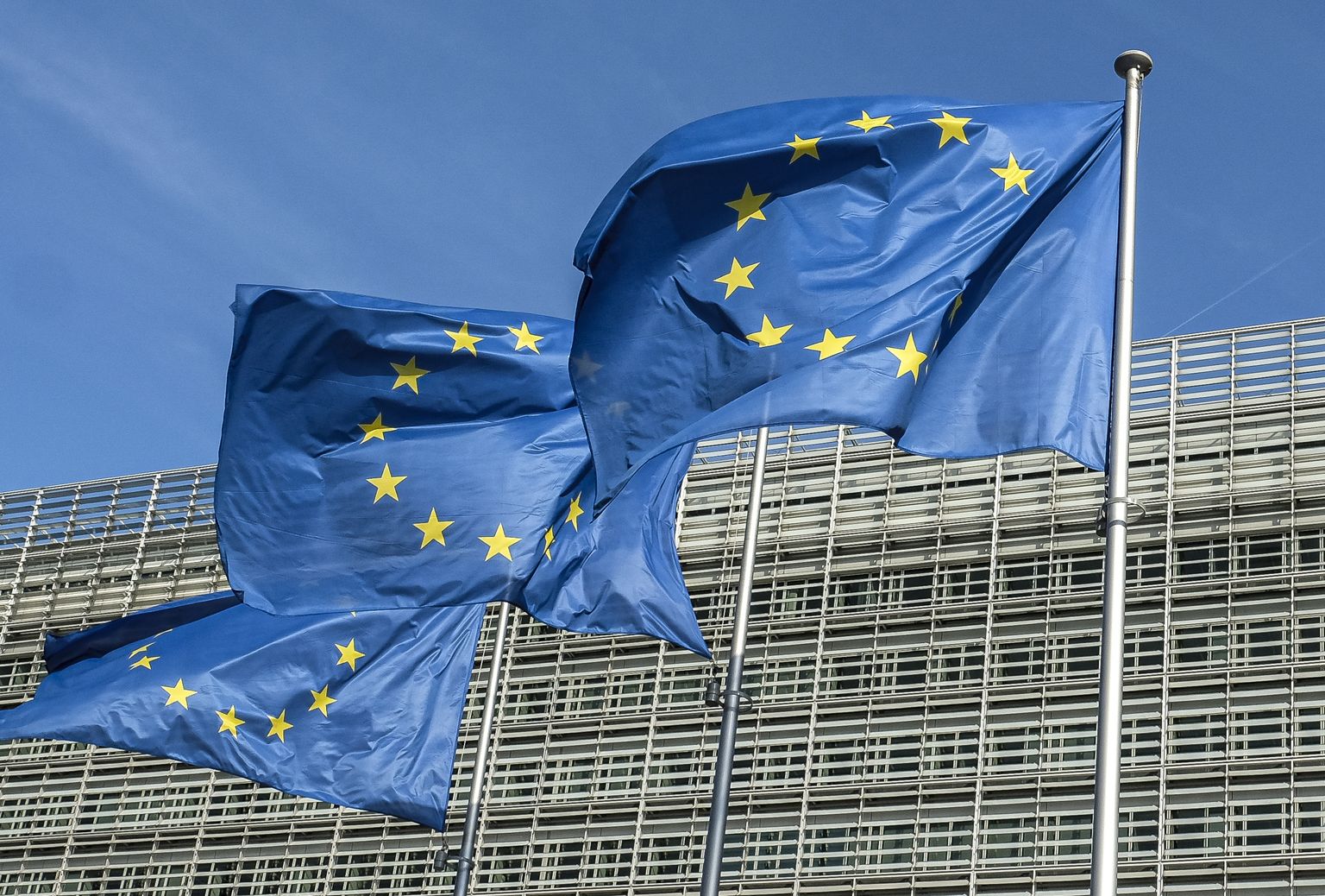 Euroopa Liidu lipp