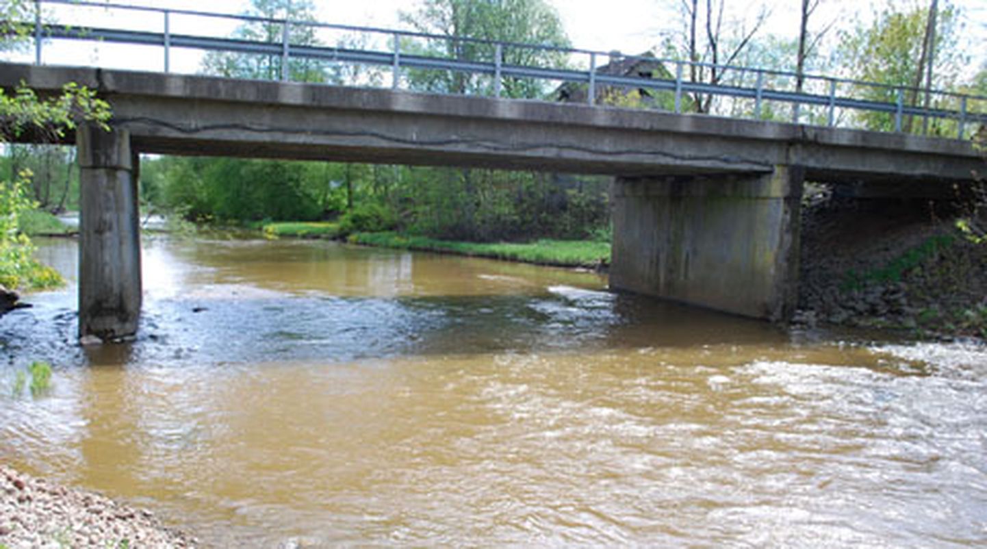 Puhastamise järel peaks Purtse jõgi oma kunagise lõhejõe kuulsuse ja au tagasi saama.