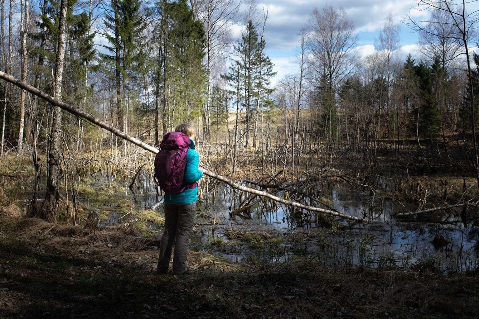 Metsa matkarada kulgeb Eestist Lätti Haanjas Loogamäel mööda kitsast metsarada mis pole autoga läbitav.