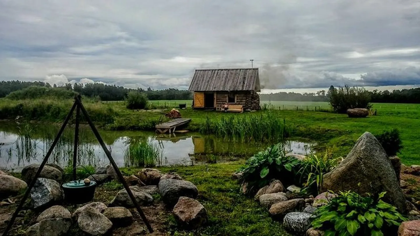 Artikli foto