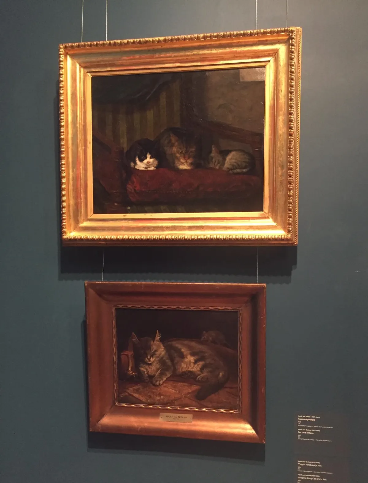 Адольф фон Беккер, «Кошка с котятами» и «Крыса, пробирающаяся мимо спящей кошки».