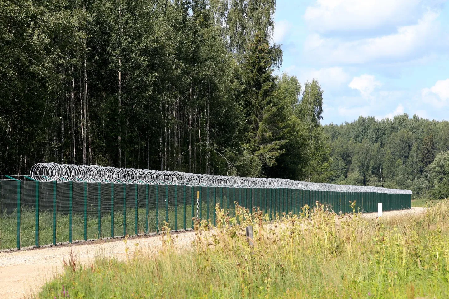 Строительство забора на границе Эстонии и России.