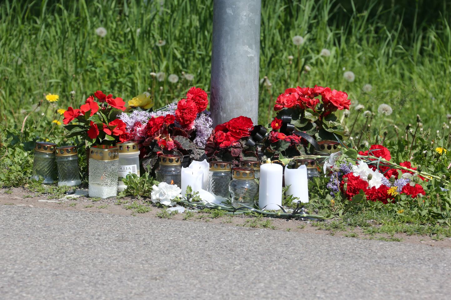 Убийство в Таллинне на остановке "Вана-Куули" в 2013 году