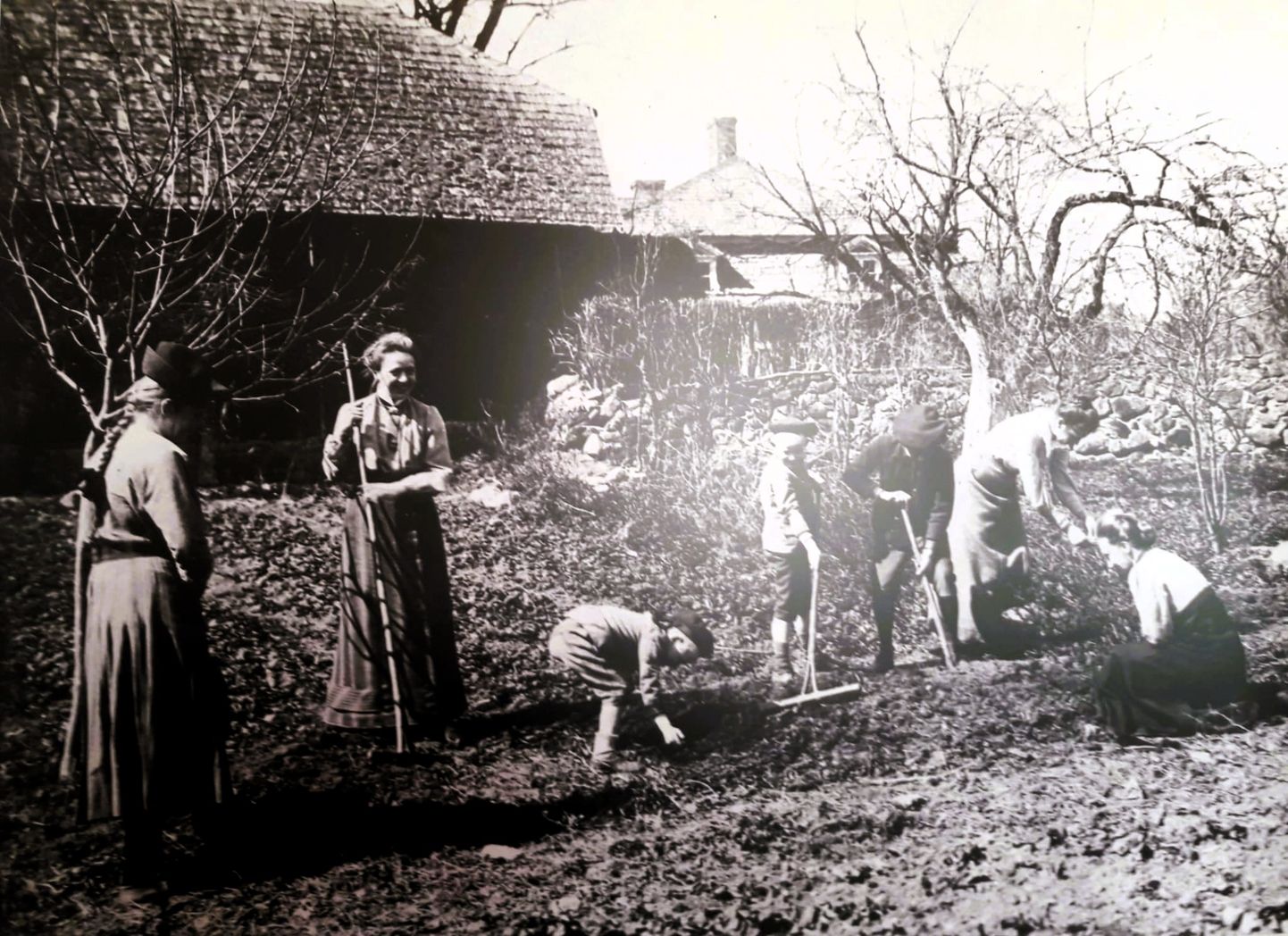 Ungurmuižas pēdējā īpašniece Lilija fon Kampenhauzena ar bērniem strādā augļu dārzā 1913. gadā. Otrā no kreisās - mājskolotāja Elza Ekerta, kas pavadīja Kampenhauzenus izsūtījumā uz Irkutsku.