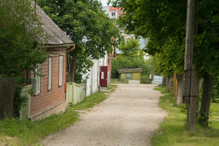 Foto: Scanpix/Valgamaalane/Arvo Meeks