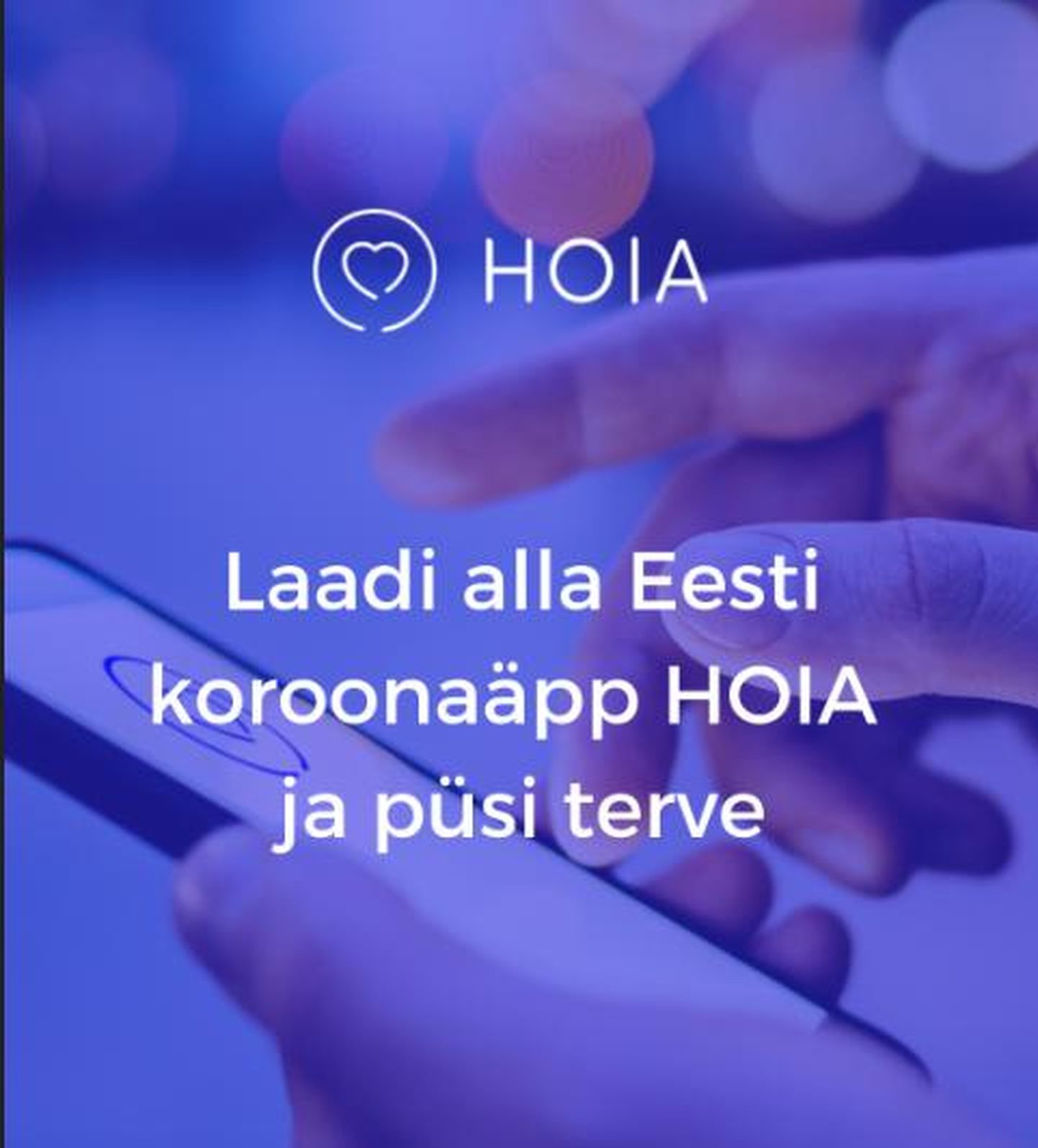Мобильное приложение Hoia.