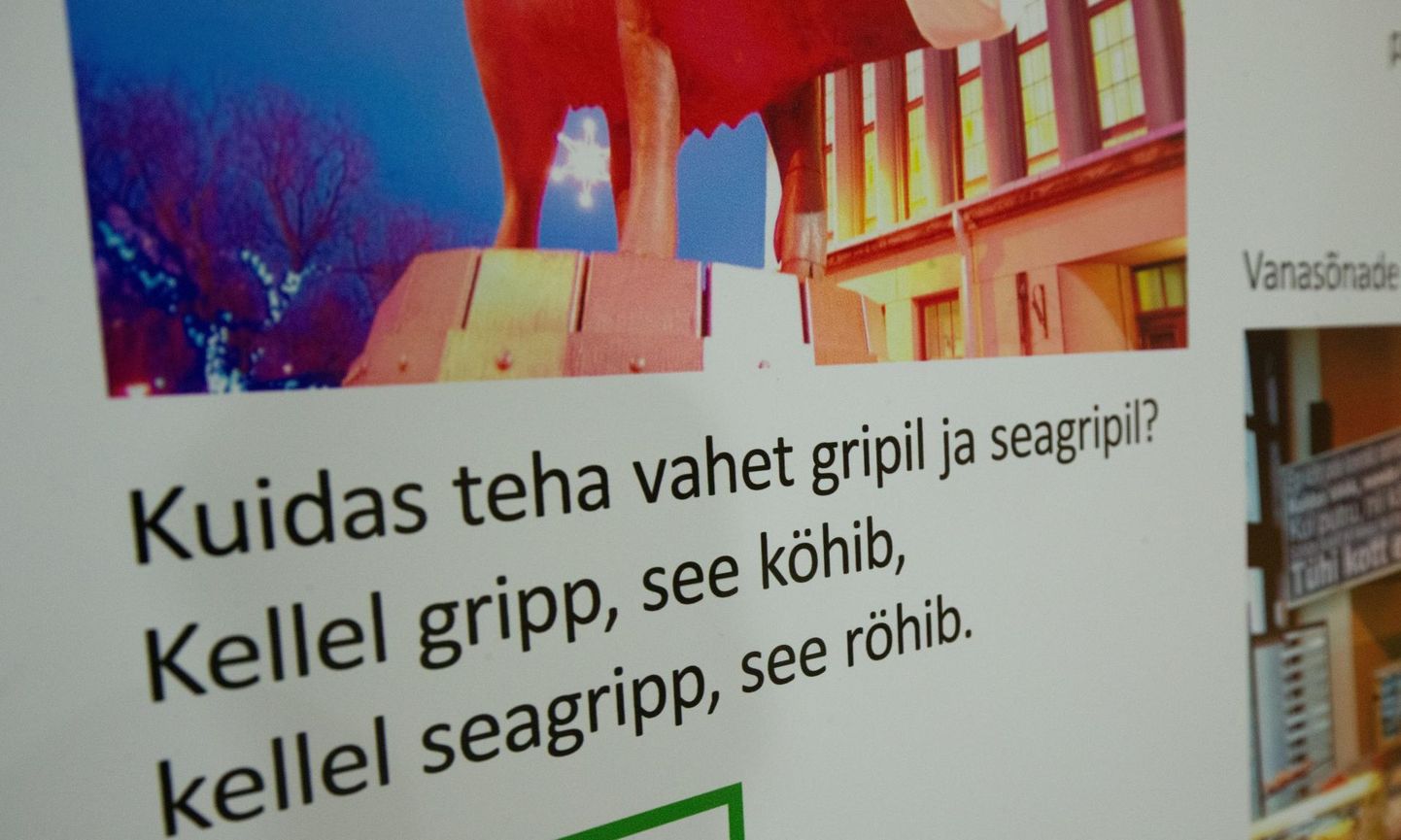 Pildil eesti keele aastale pühendatud näitus "Vana, aga vigureid täis"