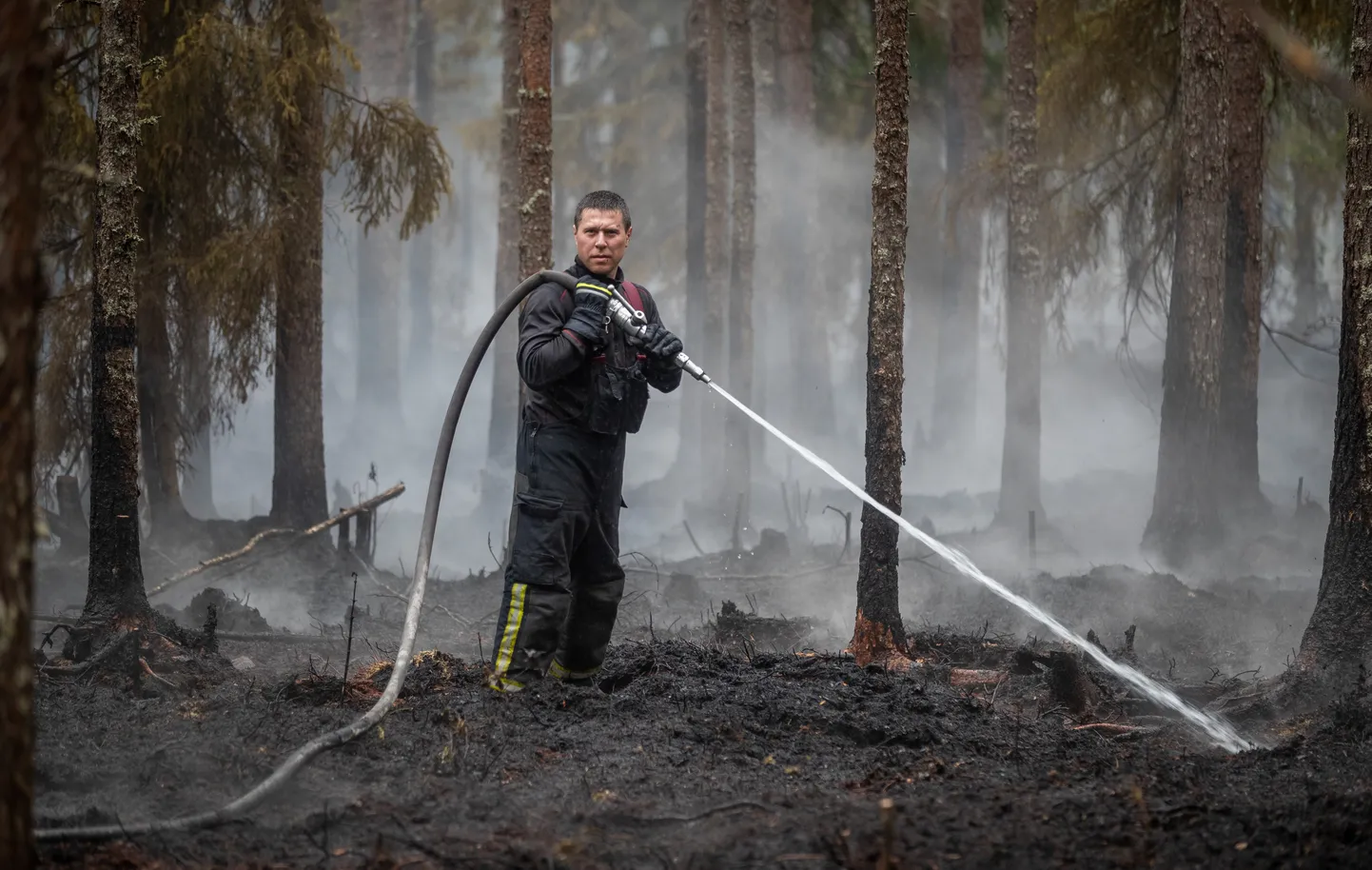Vikipalu, 12.06.2018
Vikipalu metsatulekahju kustutamine.
FOTO: MIHKEL MARIPUU/EESTI MEEDIA