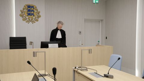 Ligi 300 000 eurot välja skeemitanud mees sai tingimisi karistuse