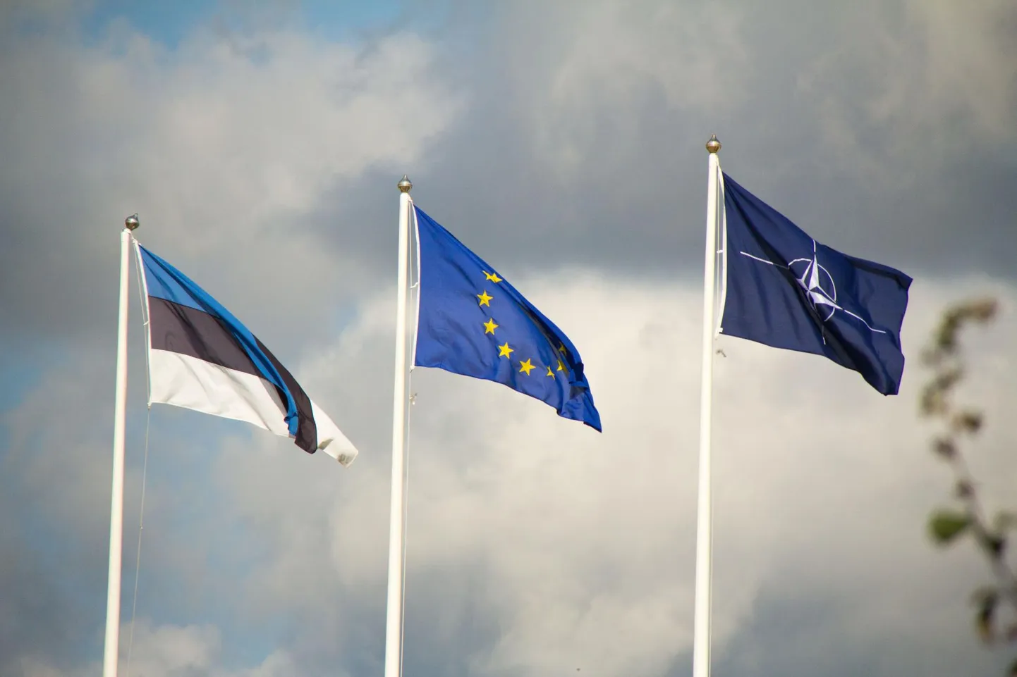 Eesti lipp, Euroopa Liidu lipp ja NATO lipp. Pilt illustratiivne